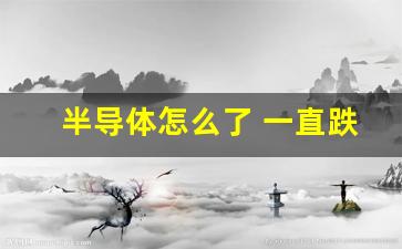 半导体怎么了 一直跌(半导体怎么天天跌)_https://www.taocizhiliang.com_效果图_第1张